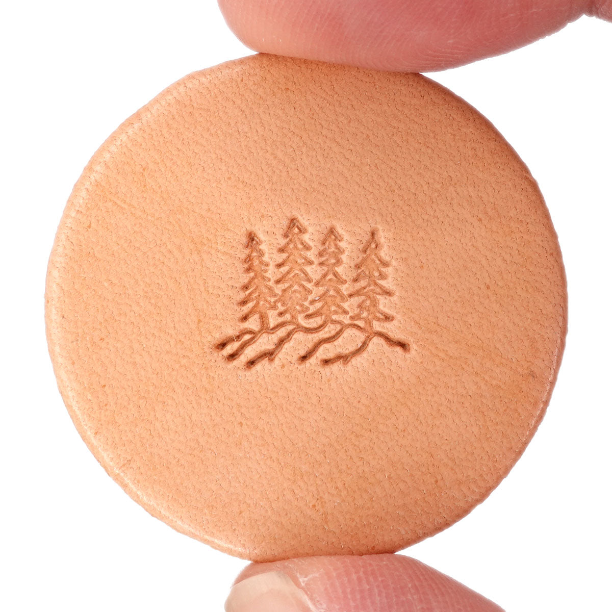 115-60110.SLC.1.jpg Pine Trees (4) - Stamping Tool F110 Image