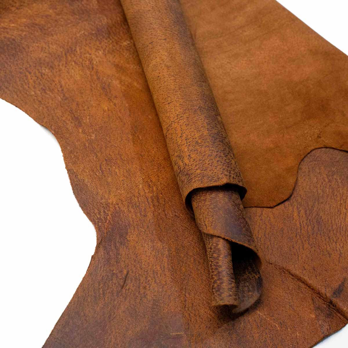 Wild Boar Hides