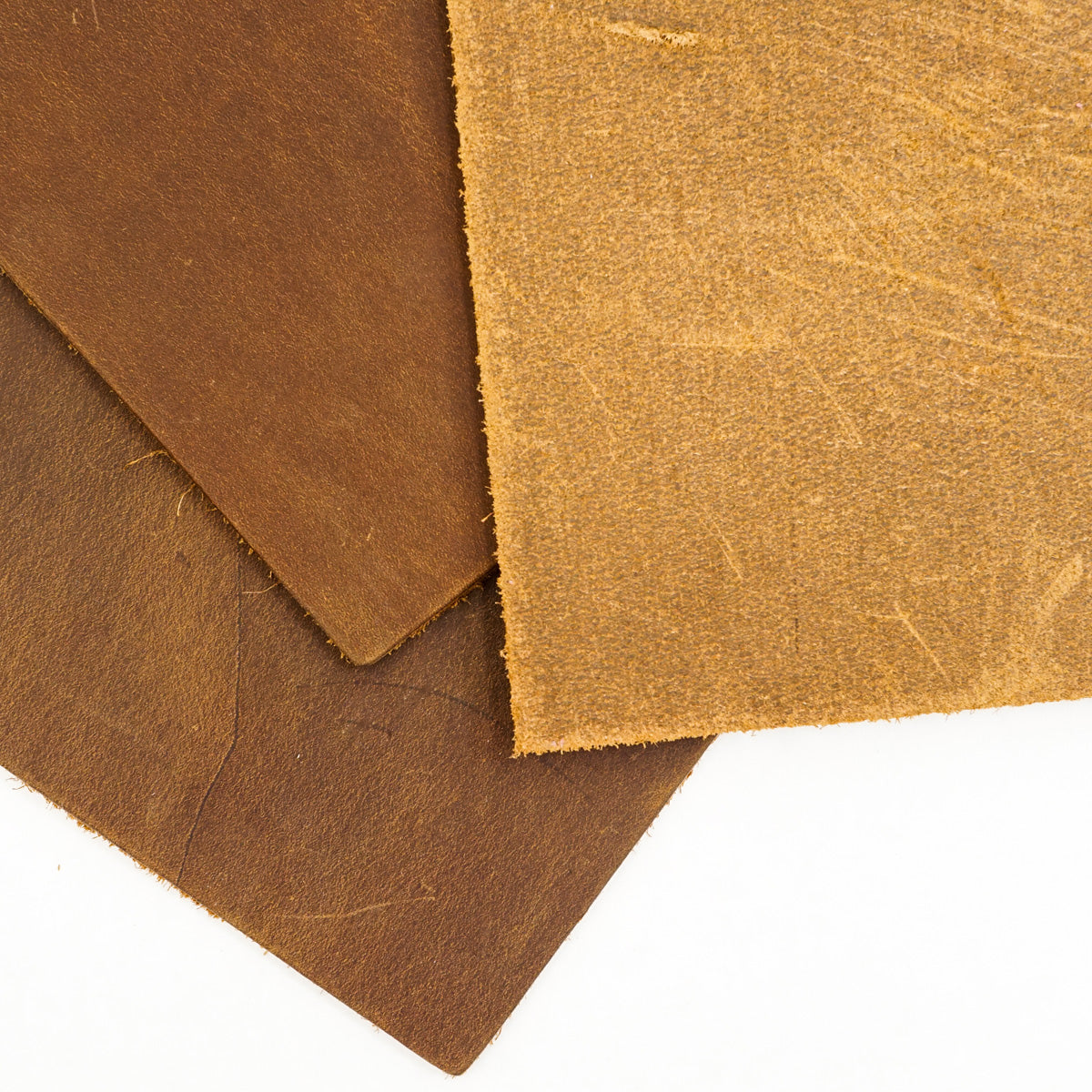 100-093.SLC.2.jpg 12"x 24" Aged Bark Crazy Trail Oil Tan Pre-Cut Image