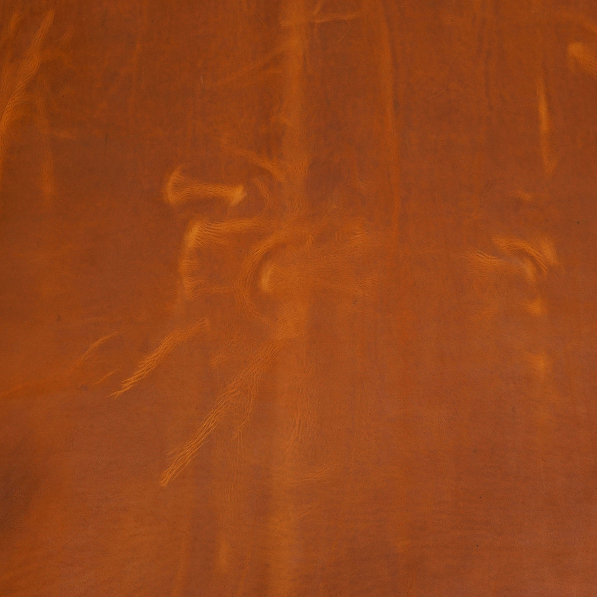 675-5012.SLC.4.jpg Ranch Hand Oil Tan Pre-Cut 12"x 12" Image