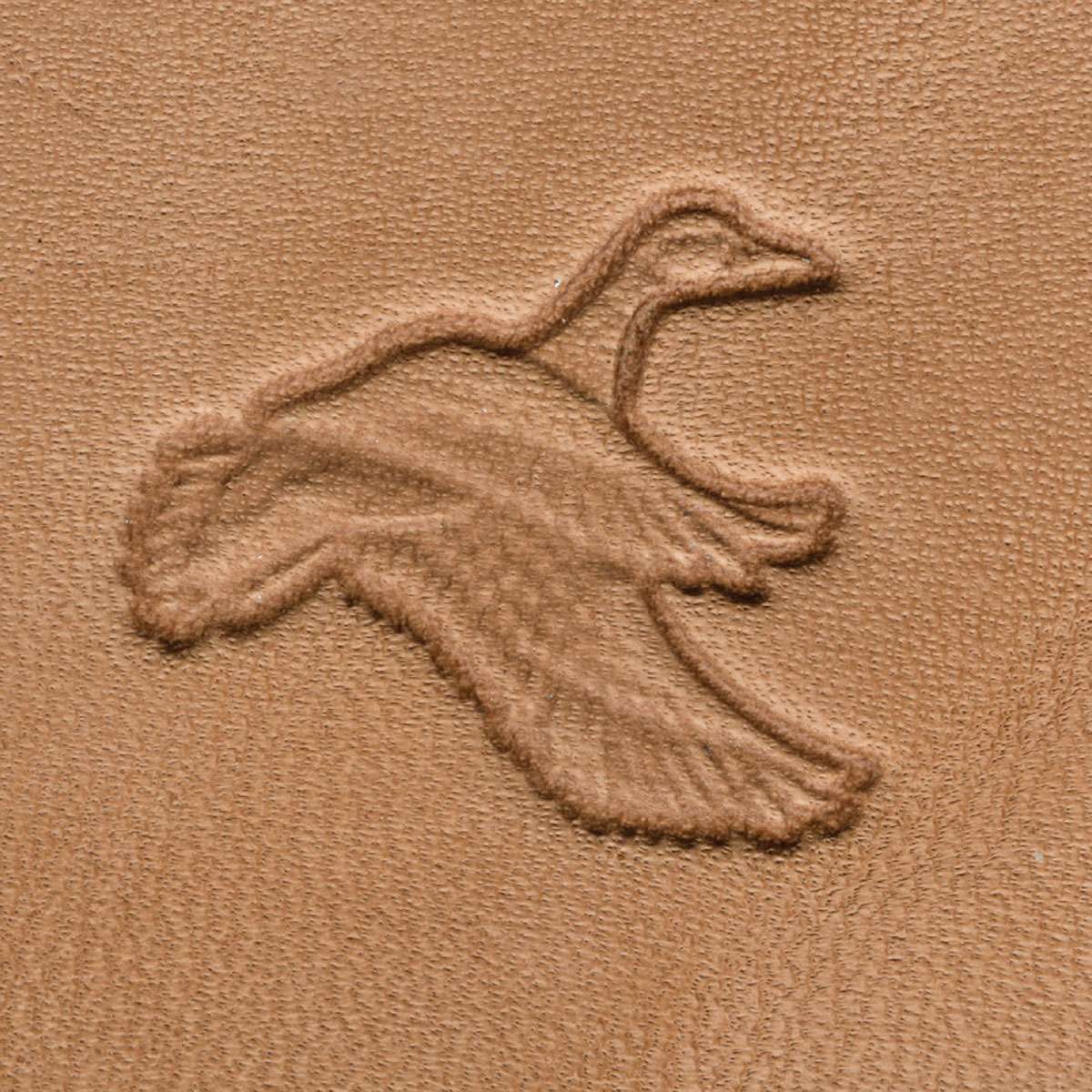 011-8830600.SLC.1.jpg Flying Duck - 3D Stamp Image