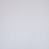 62-41.SLC.01.jpg Ostrich Print on Cow Sides - White Image