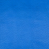 62-69.SLC.03.jpg Ostrich Print on Cow Sides - Royal Blue Image