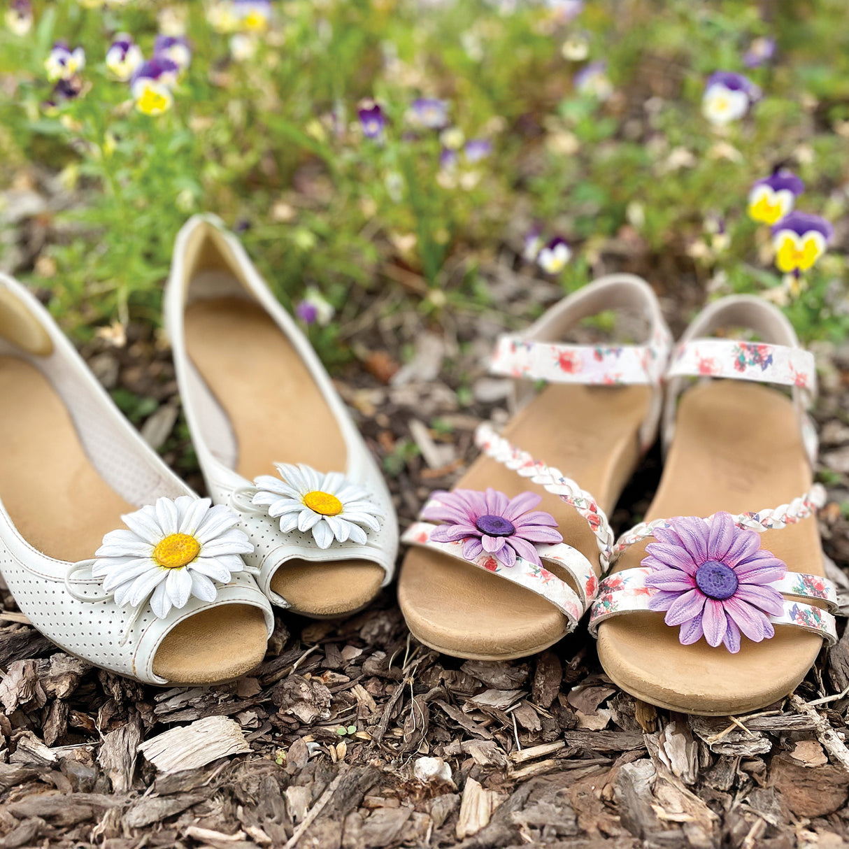 Daisy Flower Kit