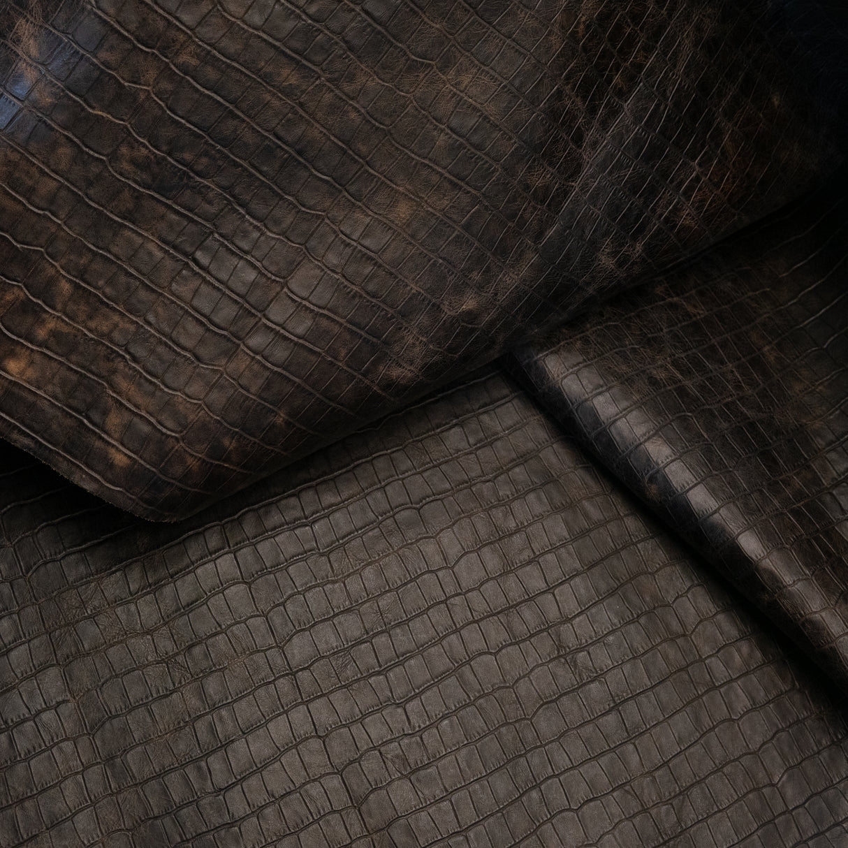 Gator Belly Embossed Cow