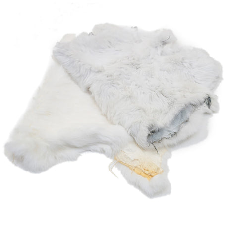 22-260500.SLC.4.jpg White Rabbit Skin Image