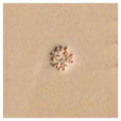 66294-00.SLC.jpg Stamping Tool - E294 Special Image