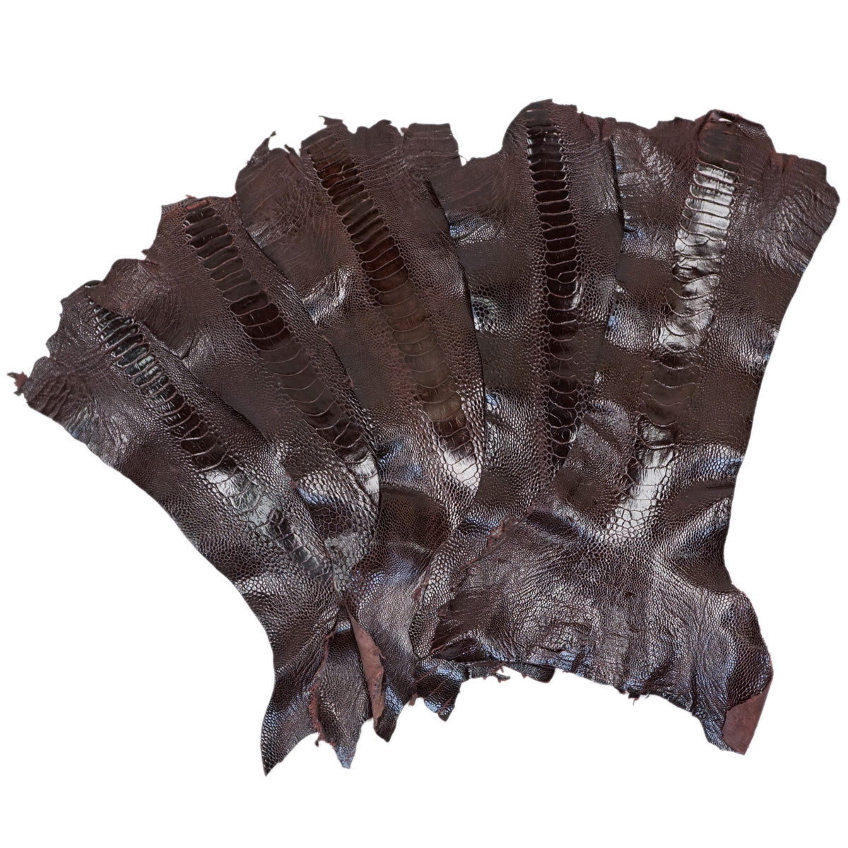 22-17.SLC.5.jpg Special Purchase Ostrich Leg - Bordeaux Image