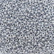 222-144027.SLC.1.jpg 10/0 Glass Seed Beads - Silver 20g Image