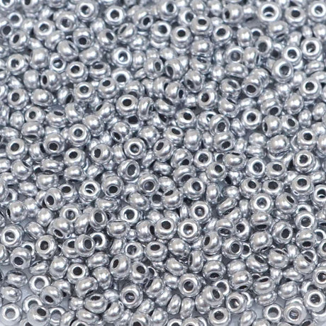 222-144027.SLC.1.jpg 10/0 Glass Seed Beads - Silver 20g Image
