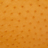 OSTH.Buttercup.02.jpg Ostrich Hides Image