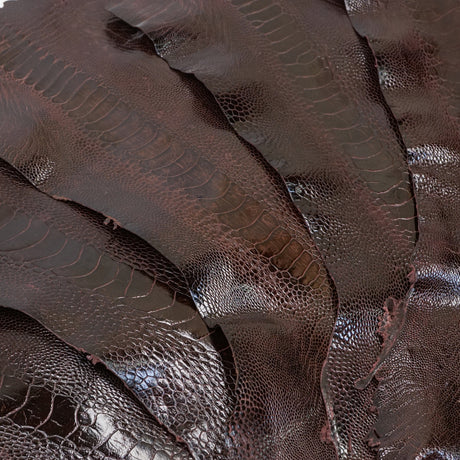 22-17.SLC.1.jpg Special Purchase Ostrich Leg - Bordeaux Image