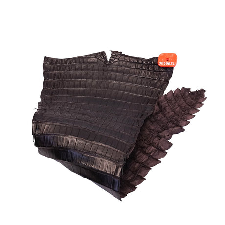 NCROC.Brown.Belly.01.jpg Nile Crocodile Tails Image