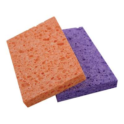 304-344700.jpg Sponge Image