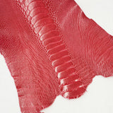 63-30502.SLC.1.jpg Ostrich Leg - Lathyrus Image