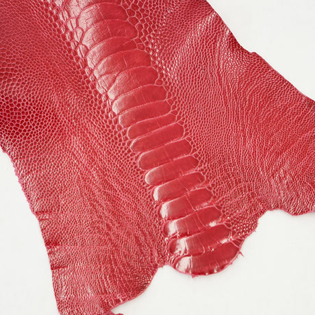 63-30502.SLC.1.jpg Ostrich Leg - Lathyrus Image