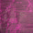 SBFP.Razzledazzle.03.jpg SB Foot Poppy Sides Image