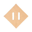 SHP099.SLC.1.jpg Leather Shape - Lash Tab Image