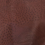 OSTH.Kango Tobac.02.jpg Ostrich Hides Image
