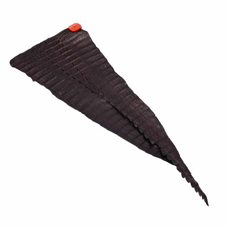 NCROC.Brown.Hornback.02.jpg Nile Crocodile Tails Image