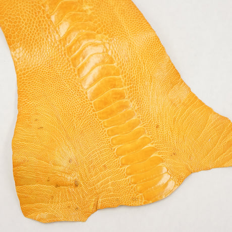 63-30508.SLC.1.jpg Ostrich Leg - Chrysanthemum Image