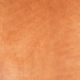 VTKS.Ochre.Glazed Finish.3.jpg Veg Tan Kangaroo Skins Image