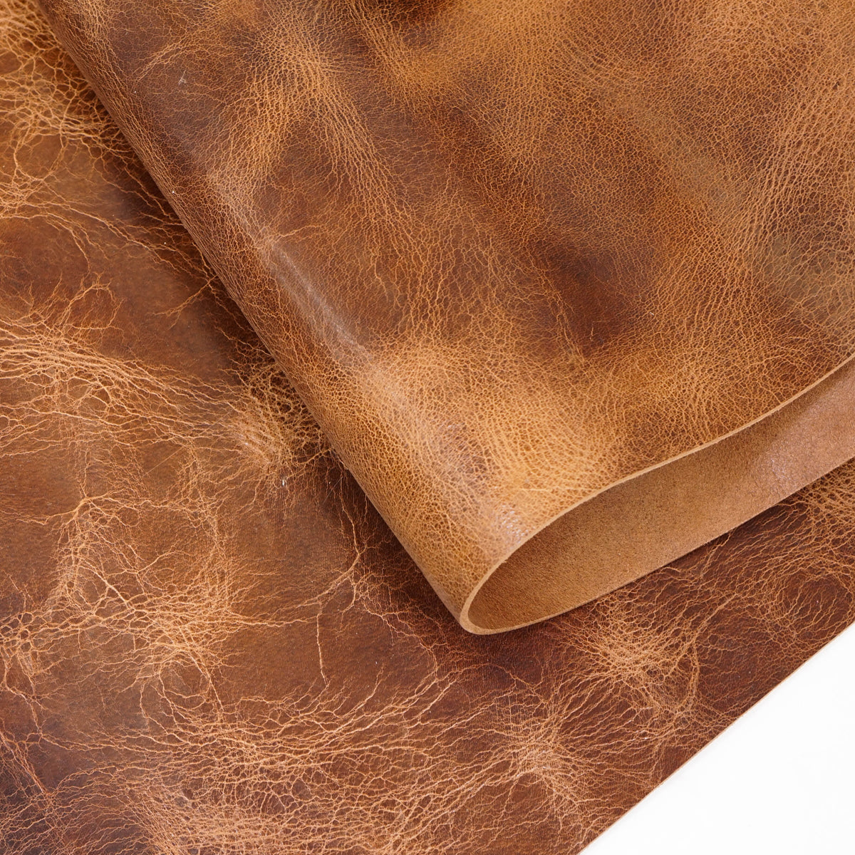 133-422405.SLC.3.jpg 12"x24" Vintage Tan Buffalo Pre-Cut Image
