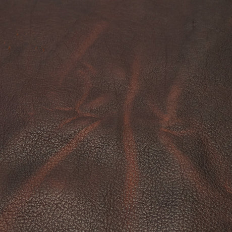 BIS.Dark Whiskey.Shrunken.04.jpg Classic Bisonte Image