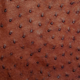 OSTH.Brandy.02.jpg Ostrich Hides Image