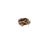RBS.Solid Brass.12pk.01.jpg Regular Button Studs Image