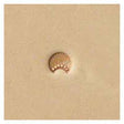 6309-00.SLC.jpg Stamping ToolN309Sunburst Image