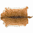 50-001.SLC.1.jpg Axis Deer Hide Image