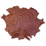 OSTH.Brandy.01.jpg Ostrich Hides Image