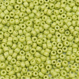 222-144011.SLC.1.jpg 10/0 Seed Beads - Light Green Glass 20g Image