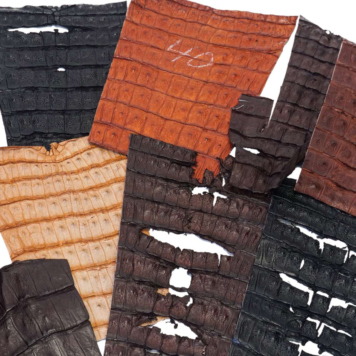 76-014.SLC.03.jpg Caiman Tail Grab Bag - 1lb Image