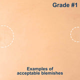 100-A.SLC.2.jpg Import Tooling Pre-Cut - 6" x 12" Image
